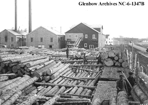 nc-6-1347B - Edmonton, Dunvegan and British Columbia Railway lumber yard, Edmonton, Alberta - 1914